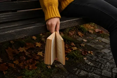 Open Book on Autumn Park Bench