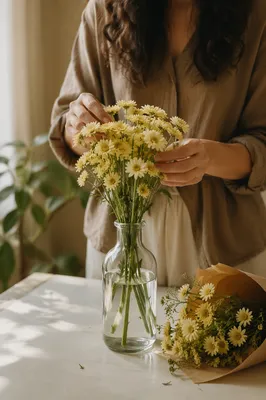 Hands Arranging Cream Daisies in Glass Vase