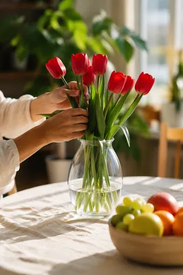 Hands Arranging Red Tulips in Vase