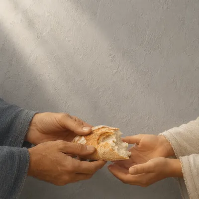 Hands Sharing Rustic Bread in Gentle Light