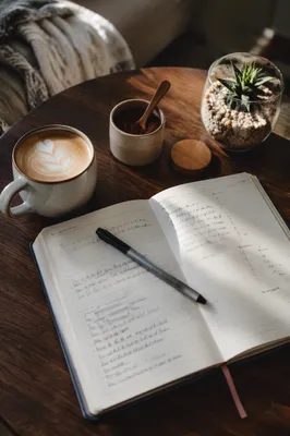 Morning Journaling with Coffee and Succulent