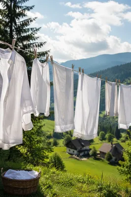 Sunlit Laundry on Rural Backyard Clothesline