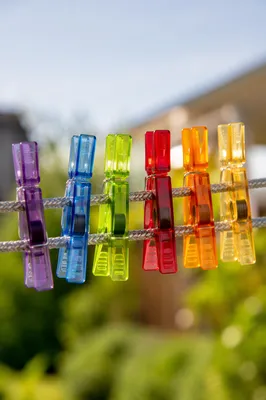 Colorful Clothespins on Sunny Backyard Clothesline