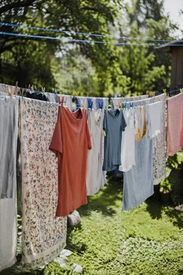 Sunlit Backyard Laundry on Clotheslines