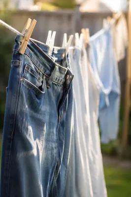 Sunlit Backyard Laundry on Clothesline