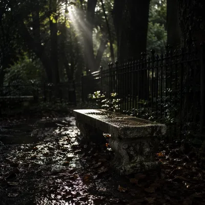 Sunbeam Over Memorial Bench After Rain