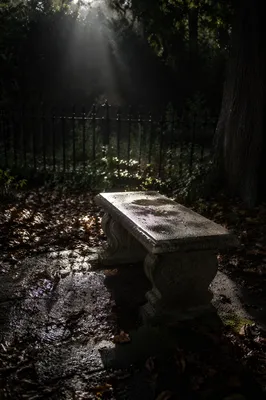 Sunbeam Over Memorial Bench After Storm