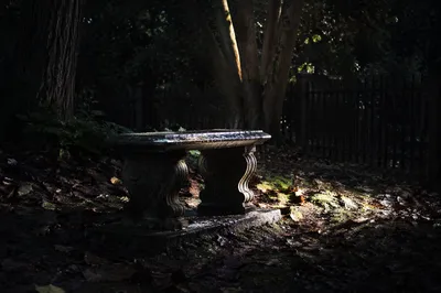 Sunbeam on Rain-Wet Memorial Bench