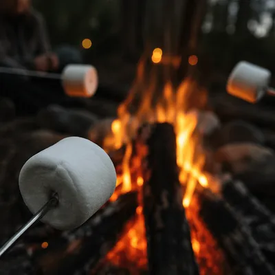Marshmallows Roasting Over Rustic Campfire