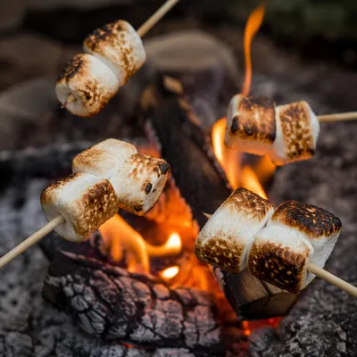 Marshmallows Roasting Over Cozy Campfire