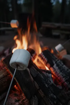 Marshmallows Roasting Over Rustic Campfire