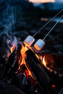 Marshmallows Roasting Over Campfire at Dusk