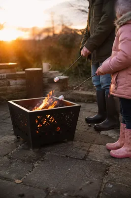 Marshmallows Roasting at Backyard Campfire