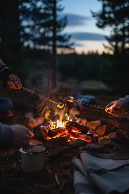 Marshmallows Roasting by Twilight Campfire