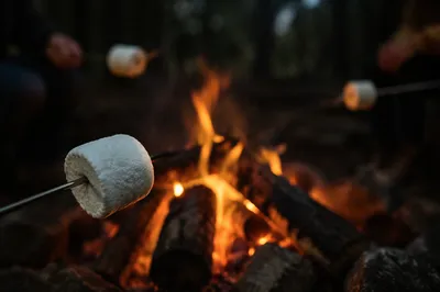 Marshmallows Roasting Over Rustic Campfire