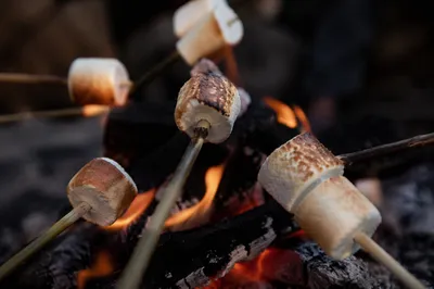 Marshmallows Roasting Over Cozy Campfire Flames