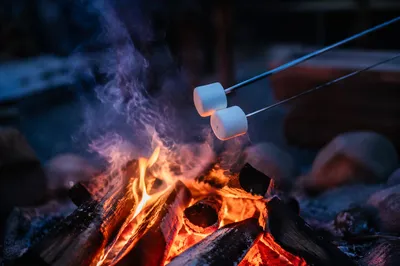 Marshmallows Roasting Over Campfire at Dusk
