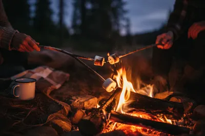 Marshmallows Roasting by Twilight Campfire