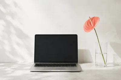 Minimalist White Desk with Single Coral Flower