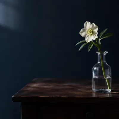 Minimalist Desk with White Flower Vase