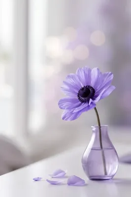 Minimalist Purple Flower on White Desk