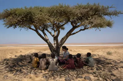 Missionary Teaching Children Beneath African Acacia