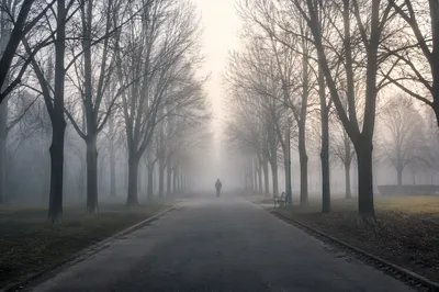 Misty Morning Walk Along Winter Park Path