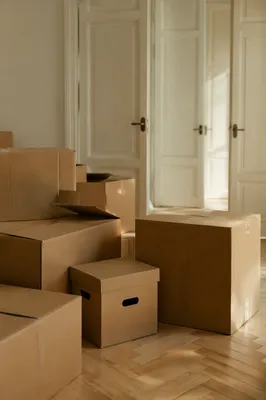 Moving Boxes in Quiet Empty Living Room