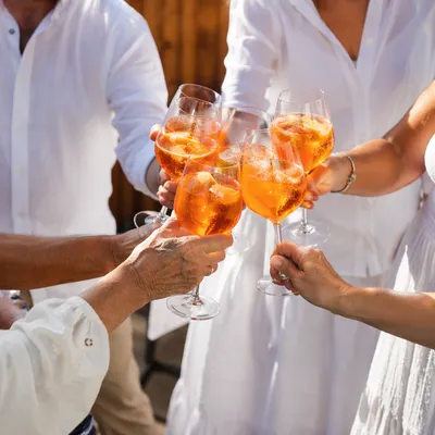 Multigenerational Family Toast on Sunny Patio