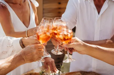 Multigenerational Family Toast on Sunny Patio