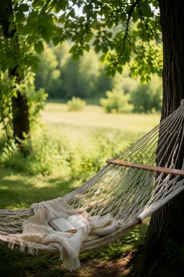 Peaceful Hammock Reading Under Shade Trees