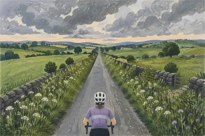 Cyclist on Countryside Road Through Green Fields
