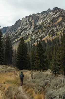 Lone Hiker on Mountain Trail
