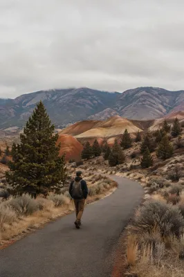 Lone Hiker on Mountain Trail