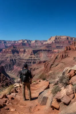 Lone Hiker Overlooking Vast Desert Canyon