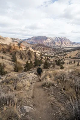 Lone Hiker on Mountain Foothill Trail