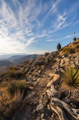 Peaceful Desert Hiker on Mountain Trail