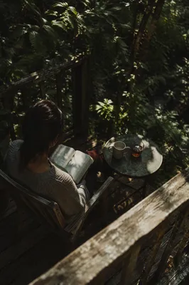 Quiet Bible Meditation on Garden Deck