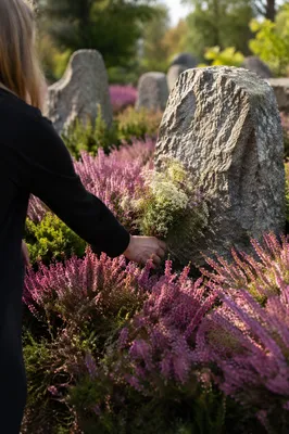 Wildflowers Placed Beside Quiet Grave Memorial