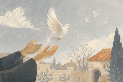 Hands Releasing White Dove into Morning Sky