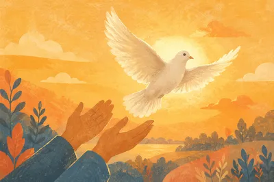 Hands Releasing White Dove at Sunset