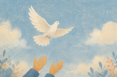 White Dove Released Into Open Sky