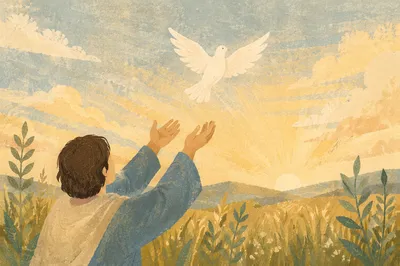 White Dove Released Into Morning Sky