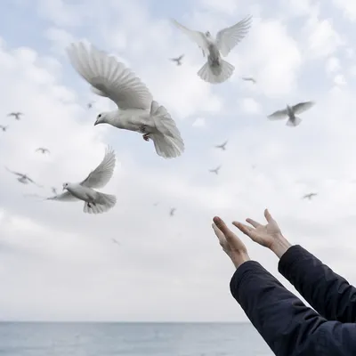 Hands Releasing Doves Over Calm Ocean