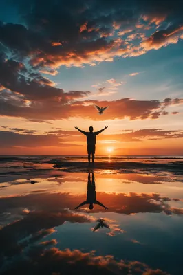 Releasing Dove at Sunset Beach