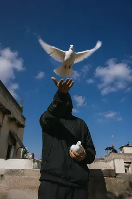Rooftop Dove Release Under Open Sky