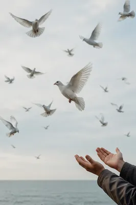 Hands Releasing White Doves Over Ocean