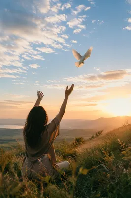 Dove Released at Sunrise on Grassy Hillside