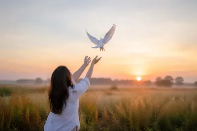 Person Releasing Dove at Sunrise Meadow