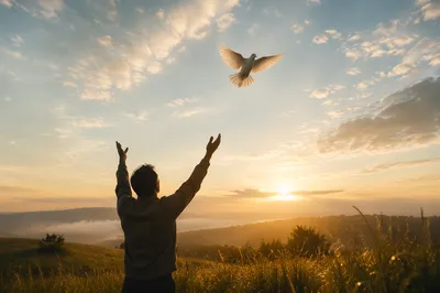 Dove Released Over Sunrise Hillside